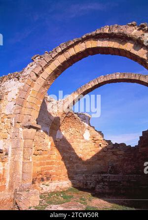 Ruins of the basilica. Recopolis Archaeological Park, Zorita de los Canes, Guadalajara province, Castilla La Mancha, Spain. Stock Photo