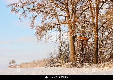 Winter, Baum, Bayern, Oberpfalz, Winterbaum,  Schnee, Eis,  Winterlandschaft,  Schneelandschaft  in Sulzbach Rosenberg bei Amberg Stock Photo