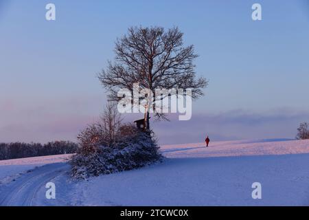 Winter, Baum, Bayern, Oberpfalz, Winterbaum,  Schnee, Eis,  Winterlandschaft,  Schneelandschaft  in Sulzbach Rosenberg bei Amberg Stock Photo