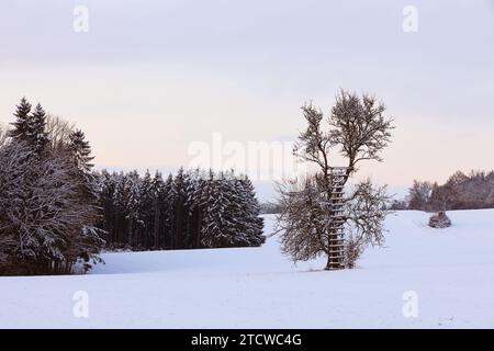 Winter, Baum, Bayern, Oberpfalz, Winterbaum,  Schnee, Eis,  Winterlandschaft,  Schneelandschaft  in Sulzbach Rosenberg bei Amberg Stock Photo