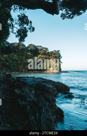 Ohope beach in New Zealand showing beaches, different rock formations, flora and fauna. Stock Photo