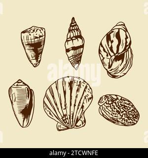 Seashells. Vector illustration of a set in graphic style. Design element for greeting cards, invitations, banners, flyers, covers, labels. Stock Vector