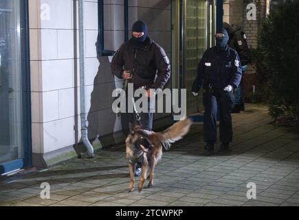 Berlin, Germany. 14th Dec, 2023. Doron Kiesel (l-r), Hanna Veiler ...