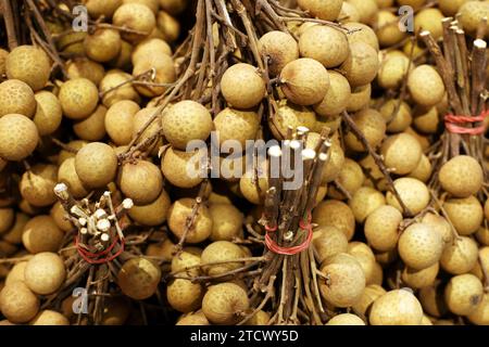 Longan fruits in bundles on the market, harvest of tropical fruit Stock Photo