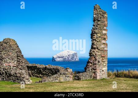 The Bass Rock viewed through the ruins of the North Range at Tantallon Castle in East Lothian, Scotland, UK Stock Photo