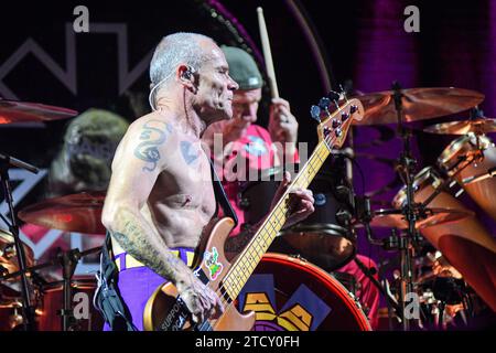 Red Hot Chili Peppers: Flea (bass), Chad Smith (drums). Live in Buenos Aires, Argentina Stock Photo