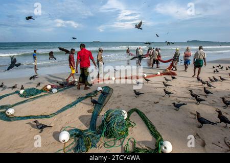 Seine fishermen pull in their fishing nets from the Indian Ocean on to the  beach at Uppuveli in Sri Lanka in the late afternoon Stock Photo - Alamy