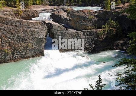 Natural bridge - Kicking Horse River - Yoho NP, Canada Stock Photo