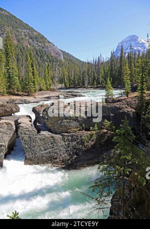 Natural bridge vertical - Kicking Horse River - Yoho NP, Canada Stock Photo