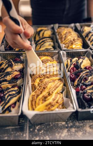 Homemade pastry for Holiday, various type of babka ready to bake Stock Photo