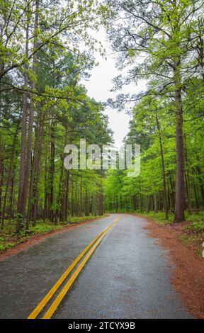The Winding Road at Talimena Scenic Drive, National Scenic Byway Stock Photo