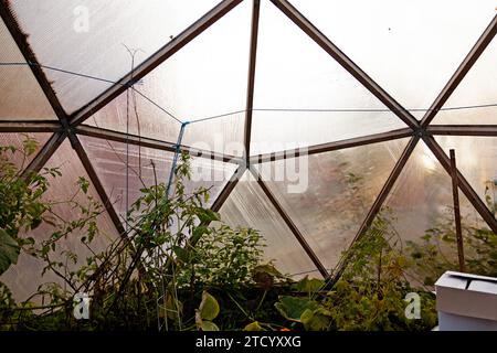 Umea, Norrland Sweden - October 3, 2023: inside the greenhouse, a feeling of Star wars Stock Photo