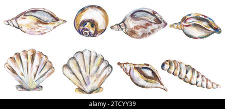 Clickart Shells Acrylic hand painted sea shells illustration, golden graphic liner ...
