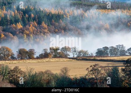 Mist Along the River Spey in November. Morayshire, Scotland Stock Photo