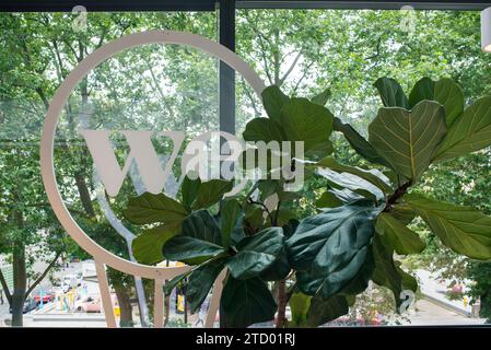 Details from a shared office space in the heart of London showing natural and friendly colours Stock Photo