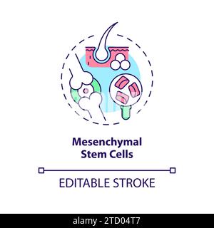 Thin line colorful mesenchymal stem cells icon concept Stock Vector