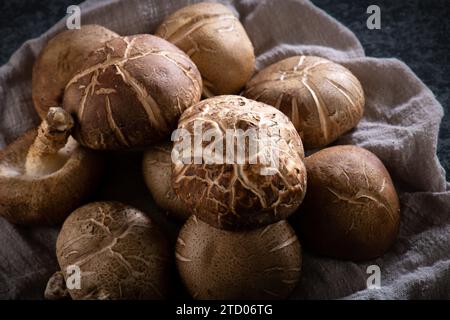 Shitake Mushroom on black background. Stock Photo
