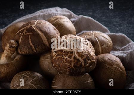 Shitake Mushroom on black background. Stock Photo