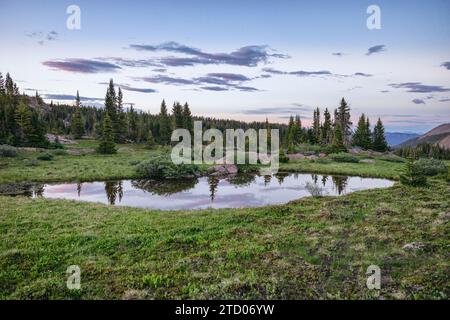 Dusk in the Eagles Nest Wilderness, Colorado Stock Photo