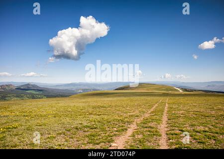 Old jeep road in the Eagles Nest Wilderness, Colorado Stock Photo