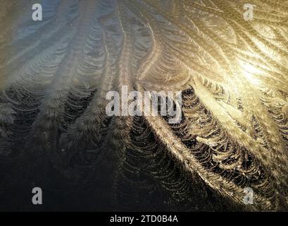 Frost on window, Netherlands Stock Photo