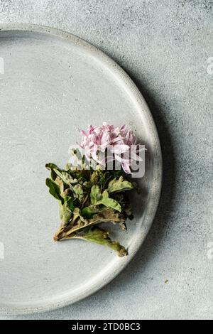 A delicate herbal sprig with pink flowers sits on a textured ceramic plate against a neutral background. Stock Photo