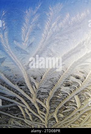 Frost on window, Netherlands Stock Photo