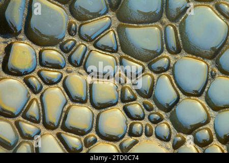 Close-up of eroded shapes glistening with water and reflecting the golden light of the sun. Stock Photo
