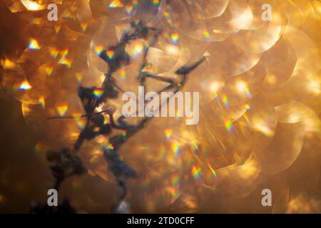An abstract composition of sparkling bokeh lights with colorful prism effects and blurred shapes, creating a dreamy background. Stock Photo