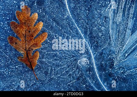 Closeup textured background of dry oak leaf lying on frozen puddle with patterns in winter in glacial lagoon of Neila Spain Europe Stock Photo