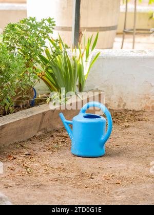Blue plastic watering can on soil by fresh plants growing by retaining wall in garden Stock Photo