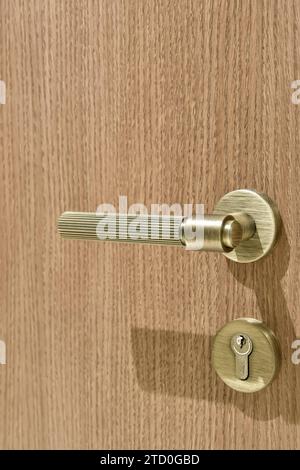 Closeup detail of metallic handle and lock on wooden door in illuminated contemporary home Stock Photo