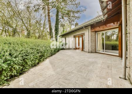 Small garden vegetation at simple small patio in backyard besides bungalow with brick wall against sky Stock Photo