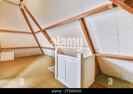 Interior of empty attic room of modern home with carpeted floor and wood panels on ceiling Stock Photo