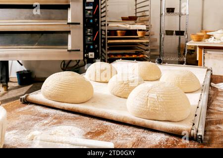 Uncooked bread dough with flour arranged on large baking tray at wooden table in kitchen of bakehouse Stock Photo