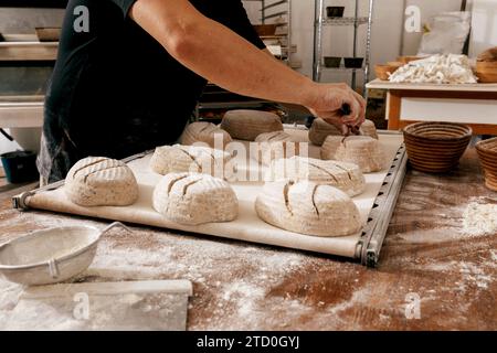 Cropped hands of unrecognizable male chef in casuals scoring uncooked bread dough with knife on large baking tray at table in bakehouse Stock Photo