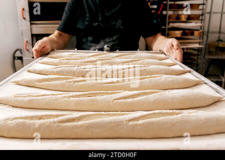 Cropped unrecognizable male baker in black t-shirt preparing to put tray with raw dough in oven for baking loaves of bread in kitchen at bakehouse Stock Photo