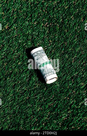 Closeup of rolled one dollar paper currency tied on green grass background with copy space Stock Photo