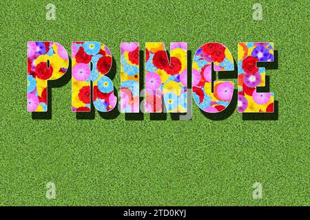 the English word Prince, word written with colourful flowers on a green background, meadow, graphic, text Stock Photo