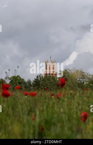 Faringdon Folly tower surrounded by woodland with poppies in the blurred foreground in Faringdon, Oxfordshire, UK Stock Photo