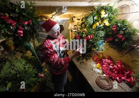 Stephen Roxburgh make Christmas wreaths at the Blair Drummond Smiddy Farm Shop. Picture date: Friday December 15, 2023. Stock Photo