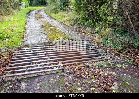Cattle grid on a private road in Ireland. Stock Photo