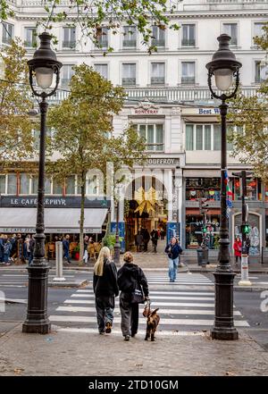 woman crossing the street with a dog in miami downtown Stock Photo - Alamy