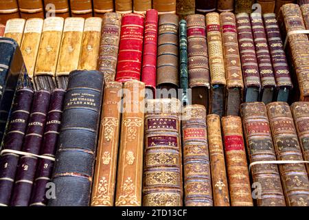 Vintage and rare French books at Librairie du Passage, inside Passage Jouffrey a covered shopping arcade in the 9th arrondissement of Paris France Stock Photo