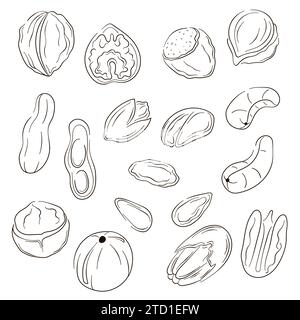 Nuts icons in flat, line art style. Hand drawn logo of hazelnut, pistachio, almond, cashew, macadamia, walnut, peanut, pecan. Vector illustration Stock Vector