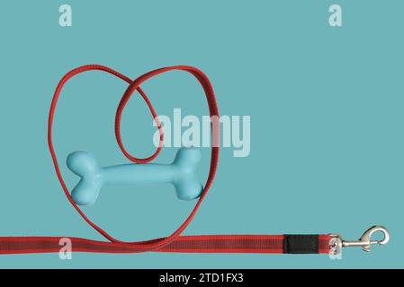 I love my dog concept. Pet leash folded in heart shape and doggy bone flatlay on solid color background Stock Photo