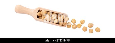 pile of shelled hazelnut kernels in wooden scoop isolated on white background with clipping path, top view, concept of healthy breakfast, vegan food Stock Photo