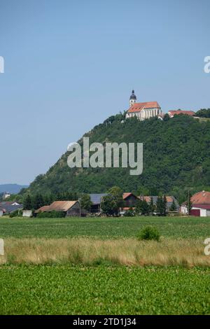 Wallfahrtskirche Mariä Himmelfahrt auf dem 432 m ü. NN hohen Bogenberg nahe der niederbayerischen Stadt Bogen, 12.06.2023 *** Pilgrimage church of the Assumption of the Virgin Mary on the Bogenberg, 432 m above sea level, near the Lower Bavarian town of Bogen, 12 06 2023 Stock Photo