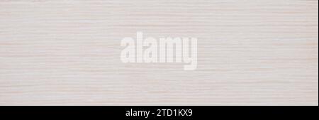 White Bleached Oak wood panel texture panorama pattern Stock Photo