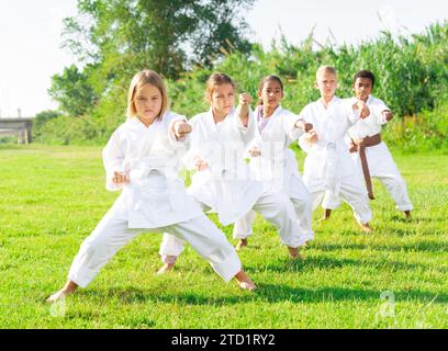 Tweenagers of different nationalities learning karate moves on green lawn Stock Photo